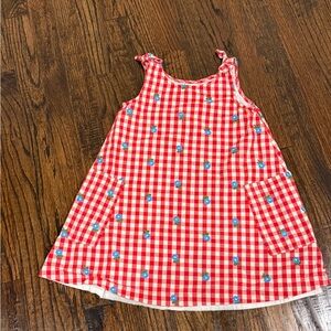 Girls Hanna Andersson Patriotic Red Checkered Dress Flowers Size 120/5